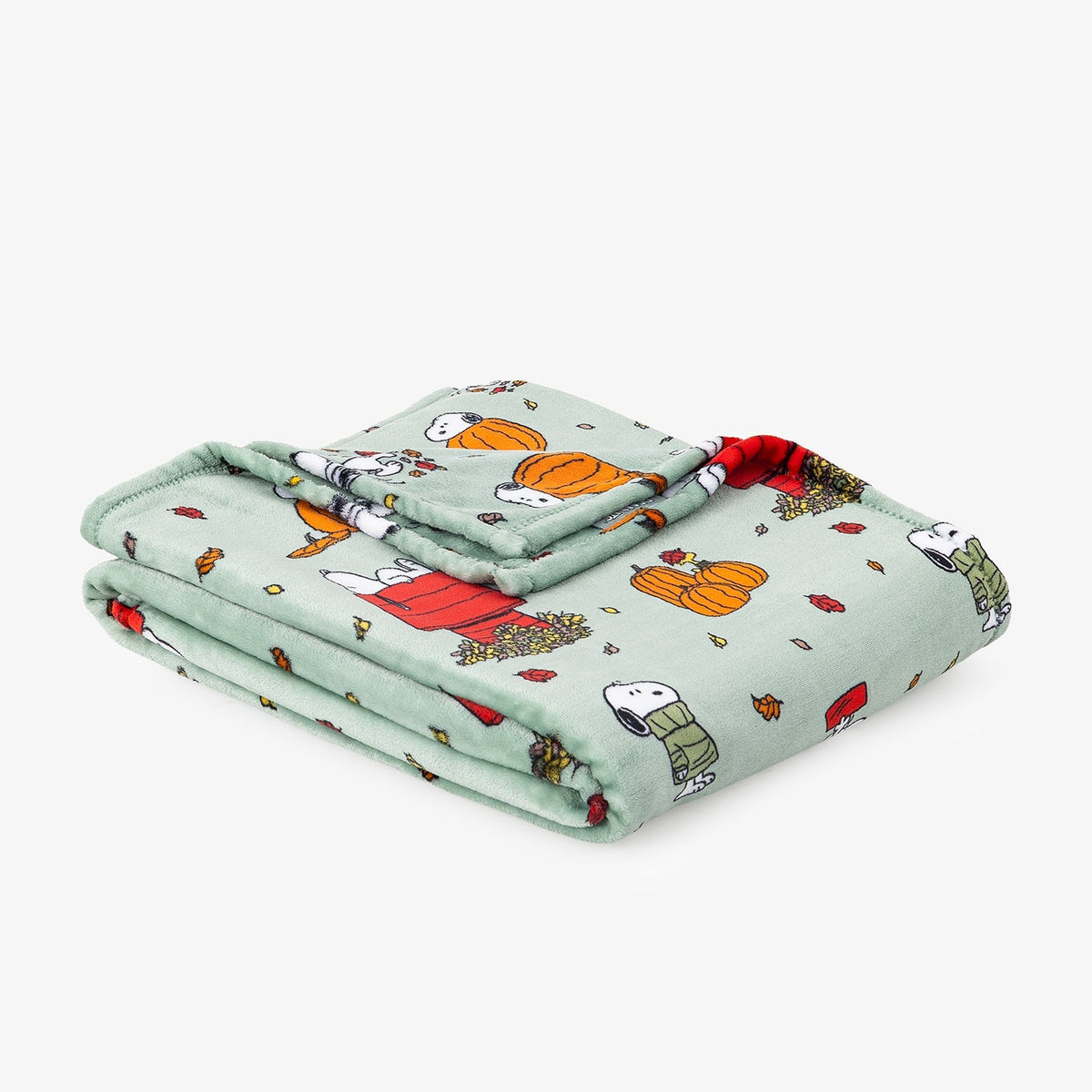 Peanuts® VelvetLoft® Throw
