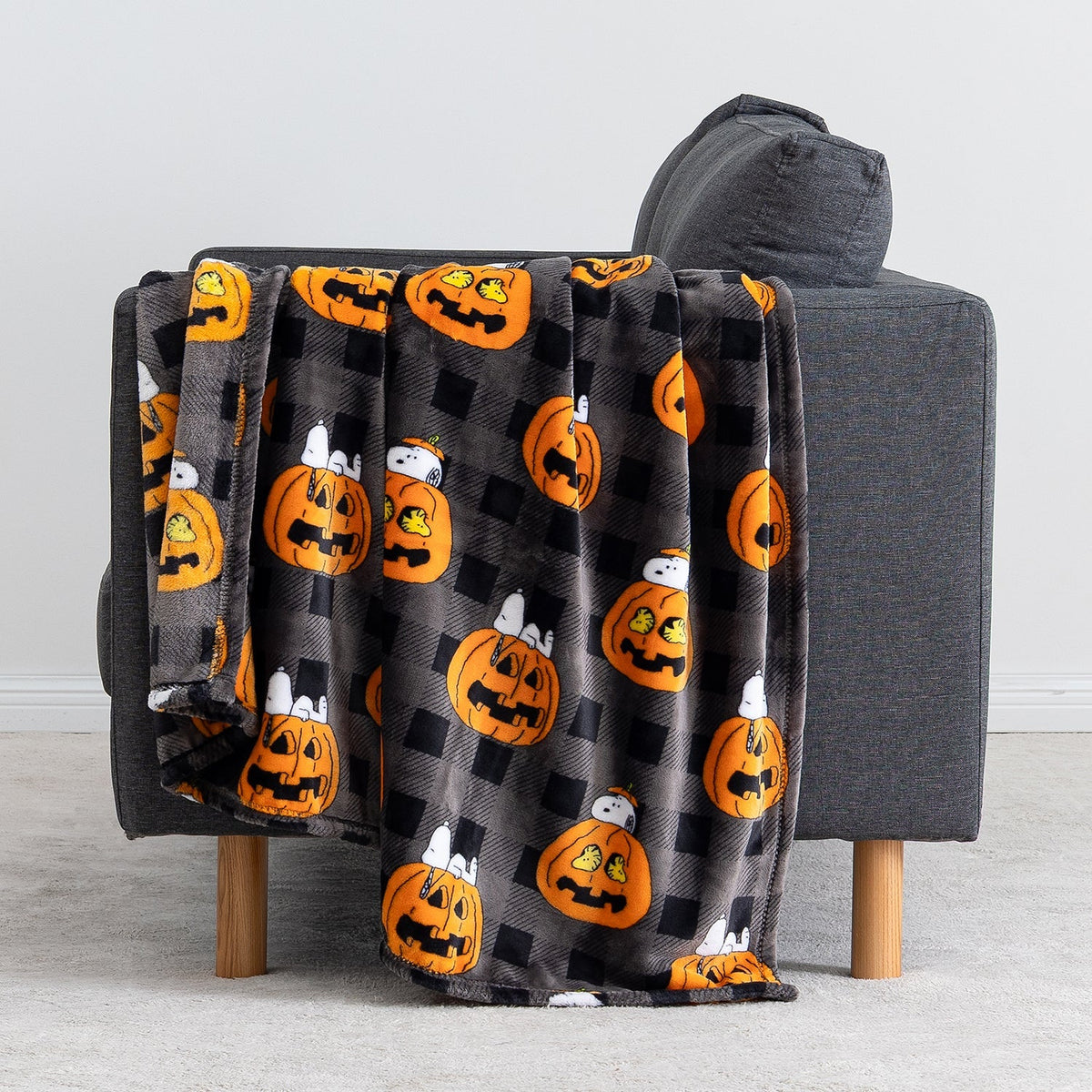 Peanuts® VelvetLoft® Throw